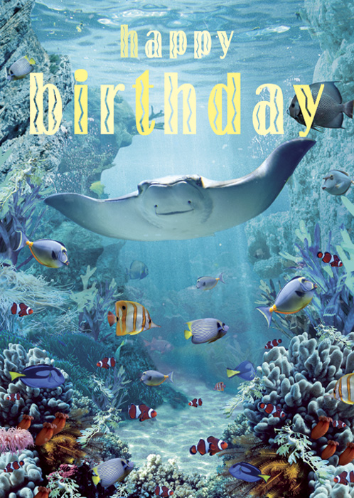 Happy Birthday Manta Ray Greeting Card by Max Hernn - Click Image to Close